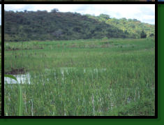 DRCH-2008-09-Bukeya-Floodplain